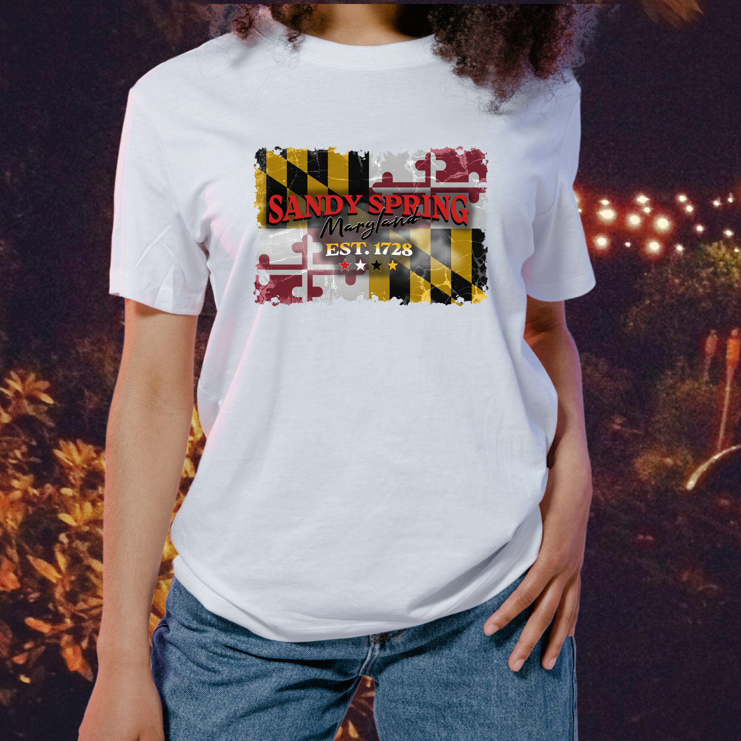 Distresses Maryland Flag Sandy Spring 1728