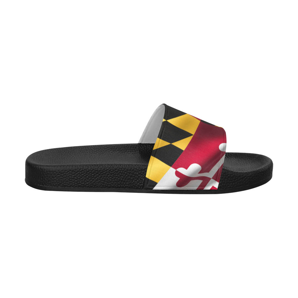 Maryland Wavy Flag Slides
