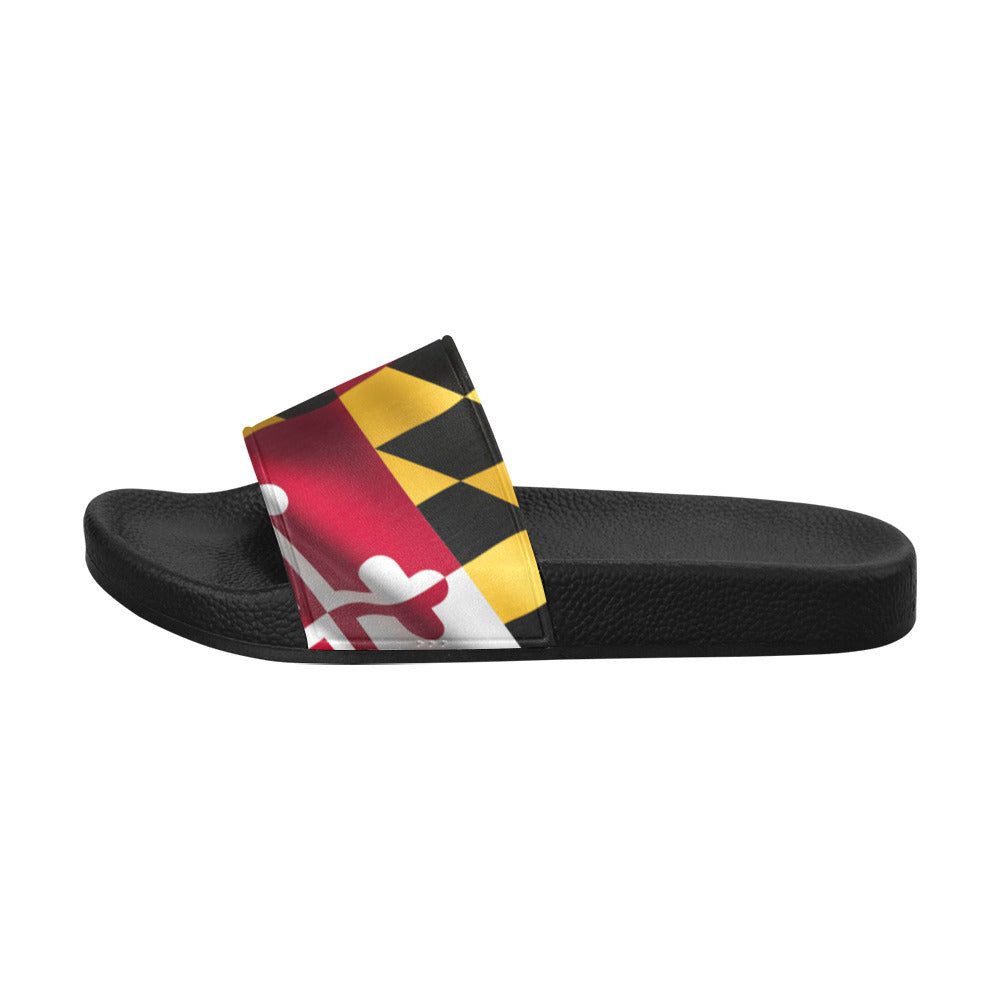 Maryland Wavy Flag Slides