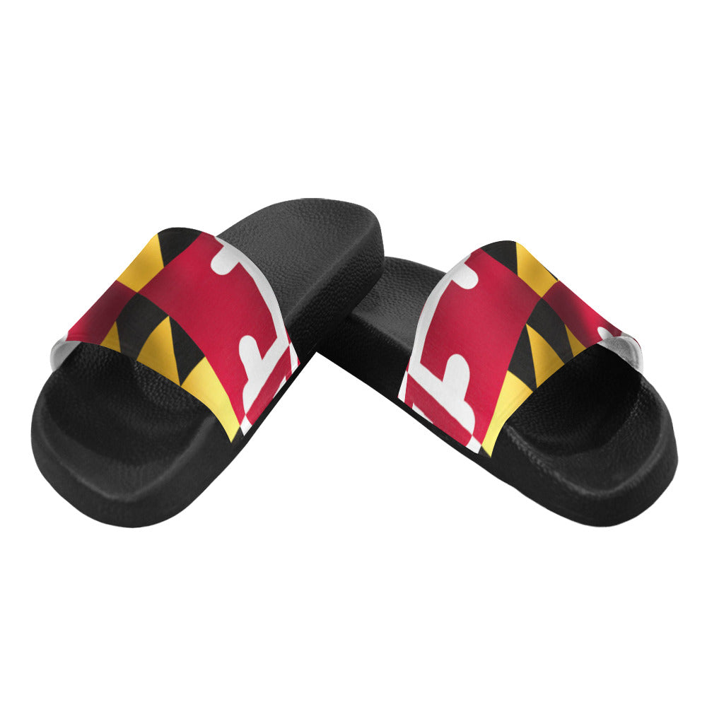 Maryland Wavy Flag Slides